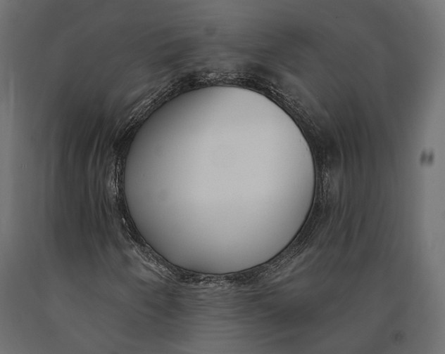 X0000090421250200708031058