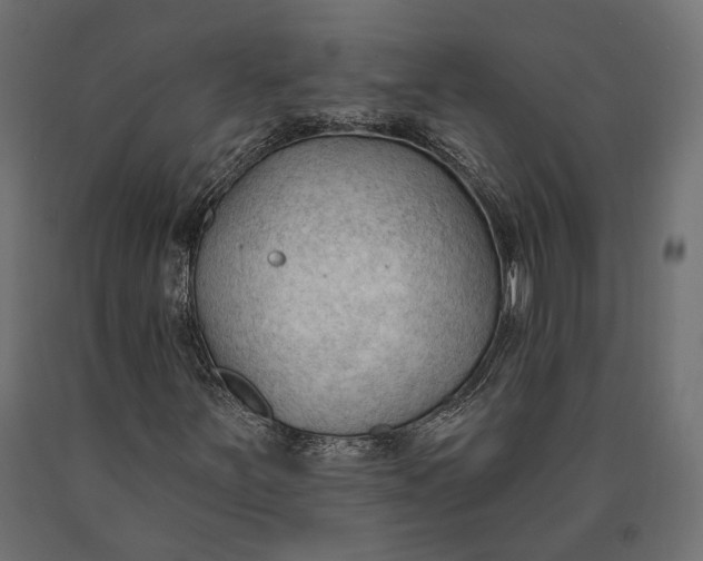 X0000090421251200708031058