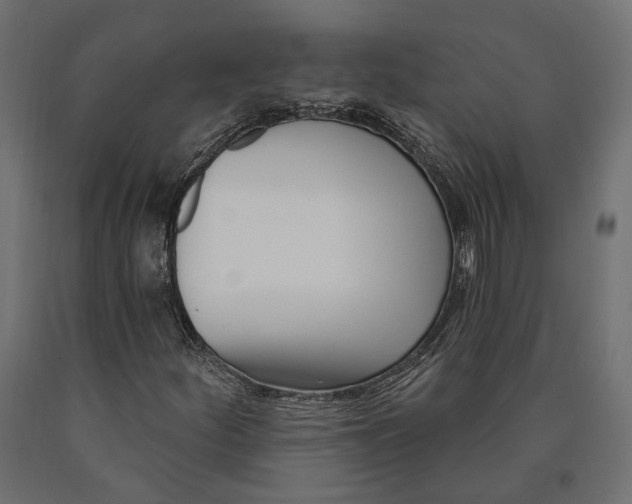 X0000090421252200708031058