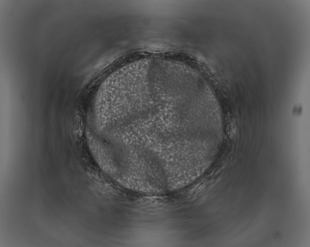 X0000090421253200708031058