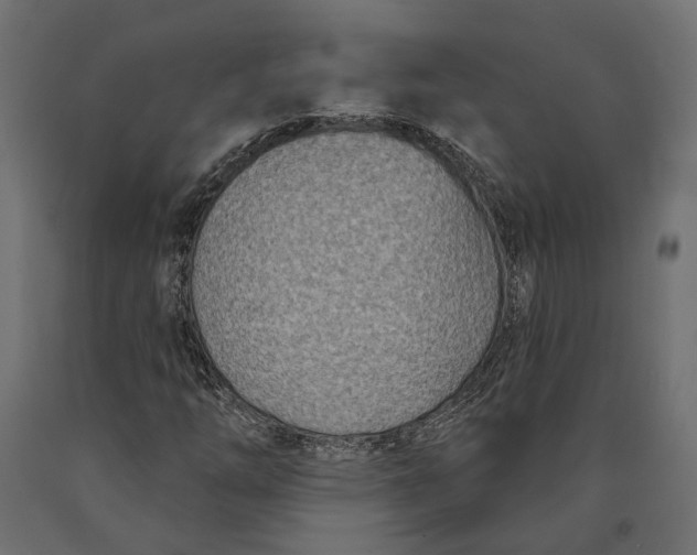 X0000090421254200708031058