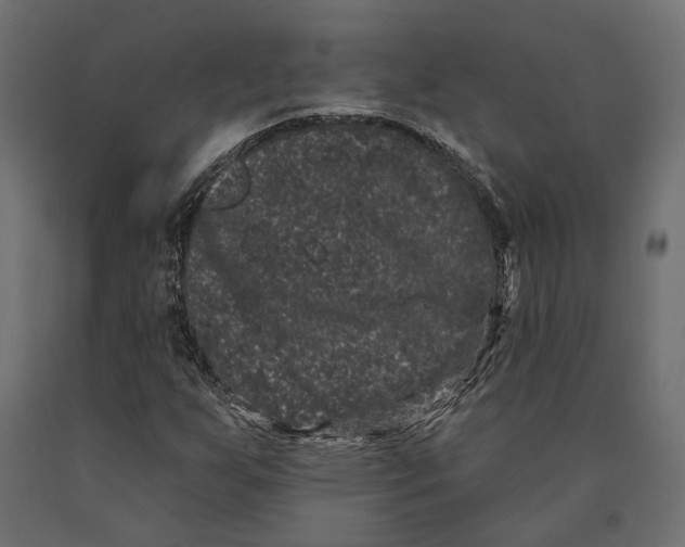 X0000090421255200708031058