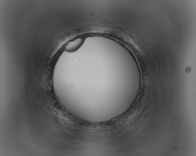 X0000090421256200708031058