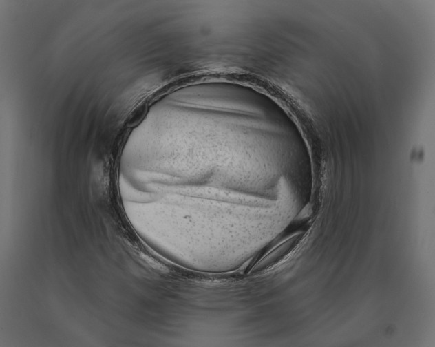 X0000090421257200708031058