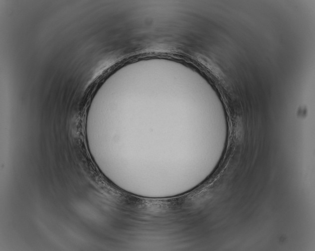 X0000090421258200708031058