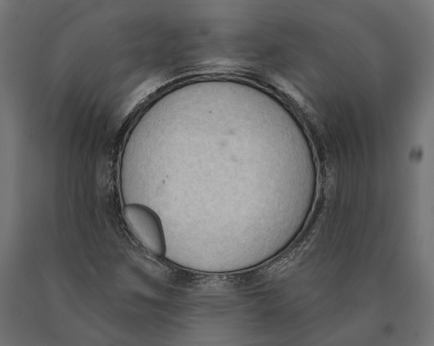 X0000090421259200708031057