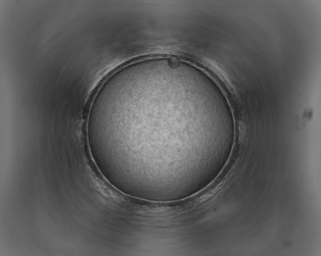 X0000090421260200708031057