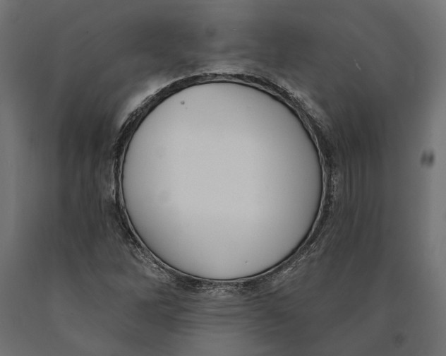 X0000090421262200708031057