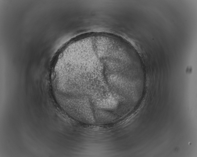 X0000090421263200708031057