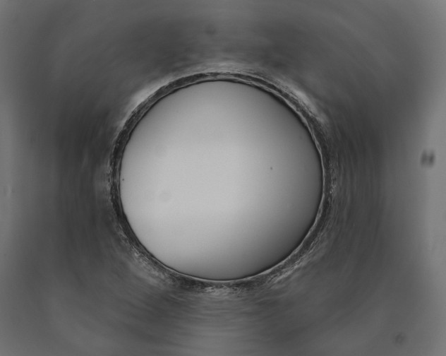 X0000090421264200708031057