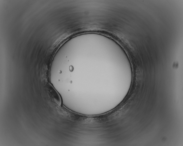 X0000090421265200708031057