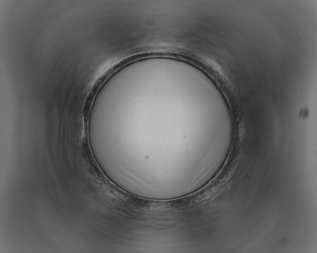 X0000090421267200708031057