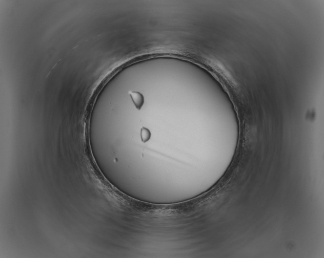 X0000090421268200708031057