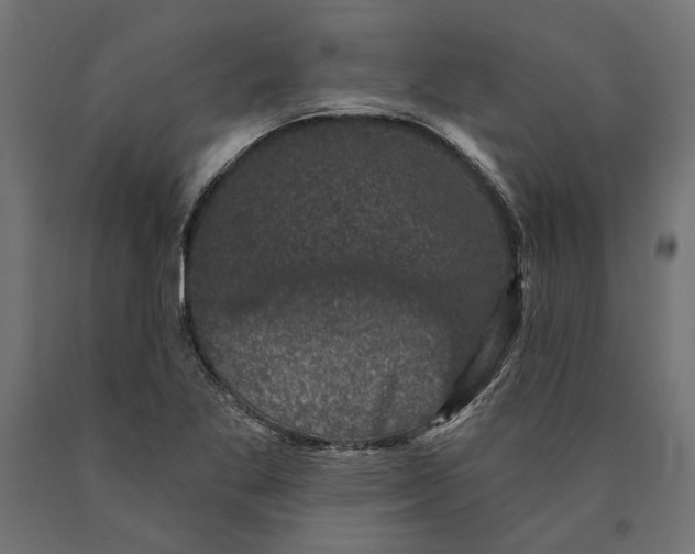 X0000090421269200708031057