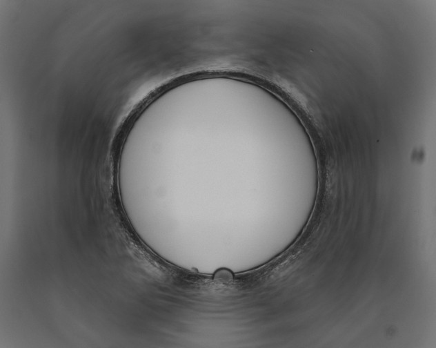 X0000090421270200708031057