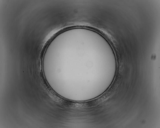 X0000090421271200708031057