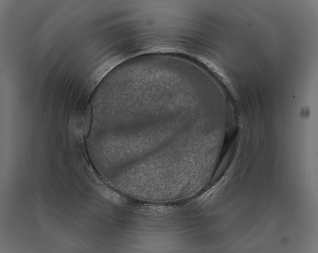 X0000090421273200708031057