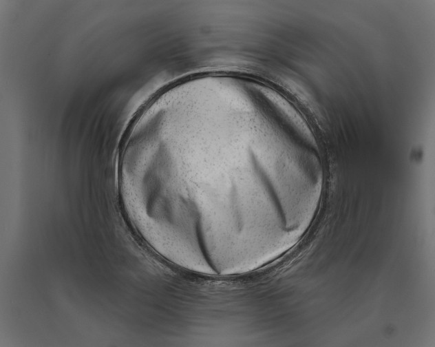 X0000090421275200708031057