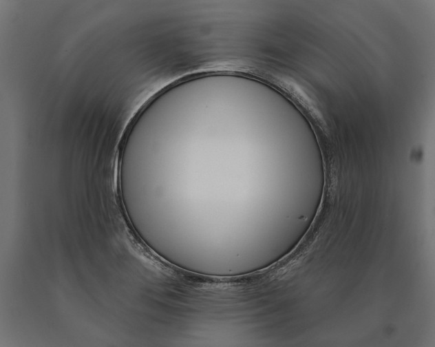 X0000090421276200708031057