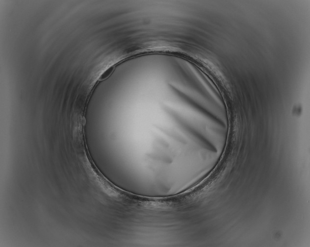 X0000090421281200708031057