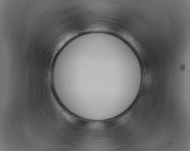 X0000090421282200708031057