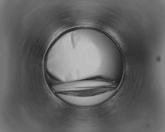 X0000090421283200708031057