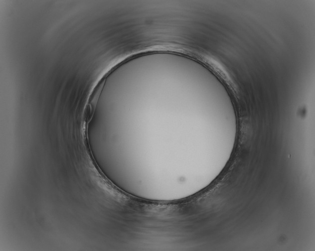 X0000090421284200708031057