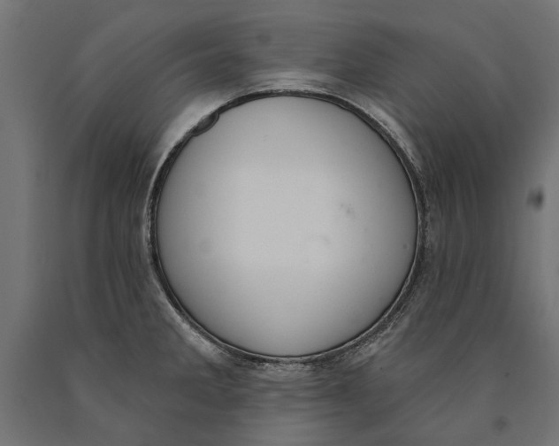 X0000090421285200708031057