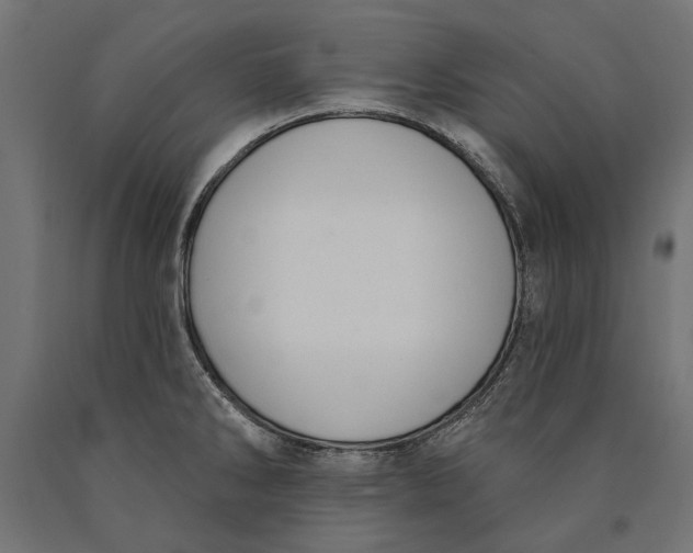 X0000090421286200708031057