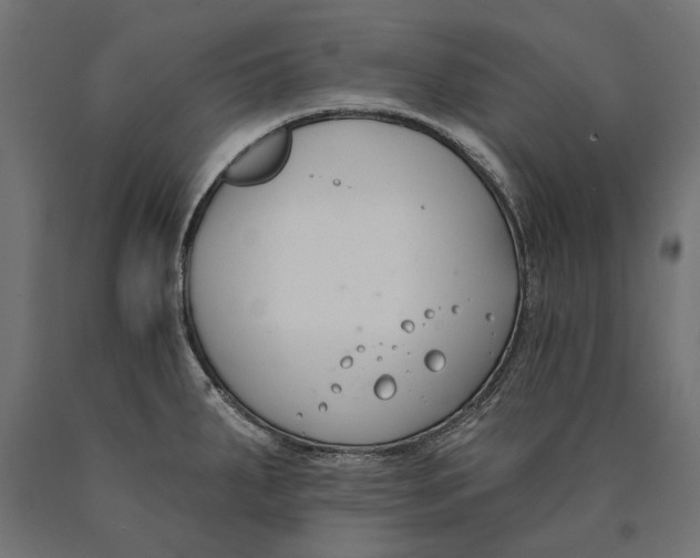 X0000090421287200708031057