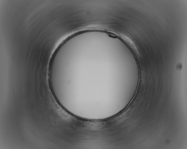 X0000090421288200708031057