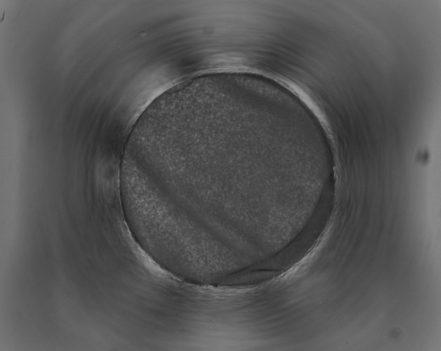 X0000090421289200708031057