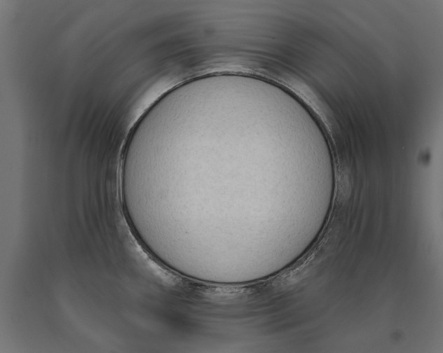 X0000090421290200708031057