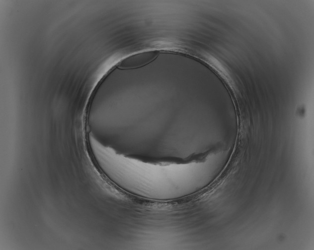 X0000090421291200708031057