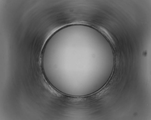 X0000090421292200708031057