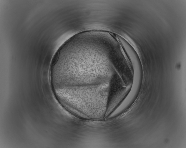 X0000090421293200708031057