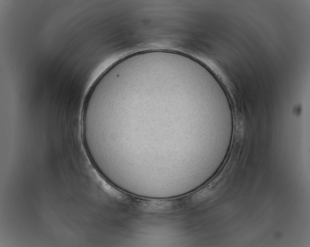 X0000090421294200708031057