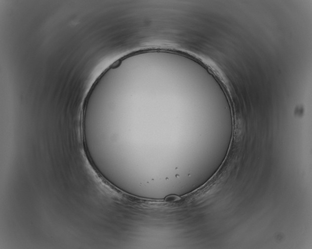 X0000090421295200708031057