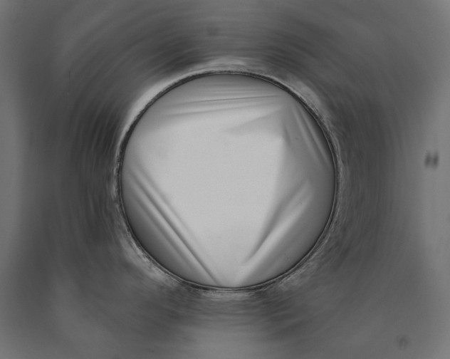 X0000090421296200708031057