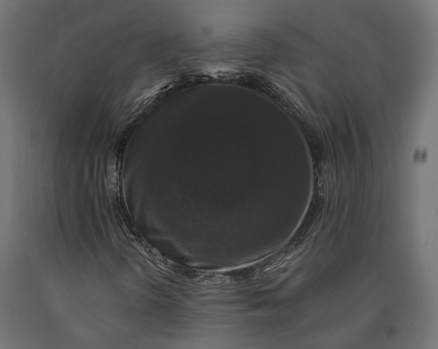 X0000090421298200708031056