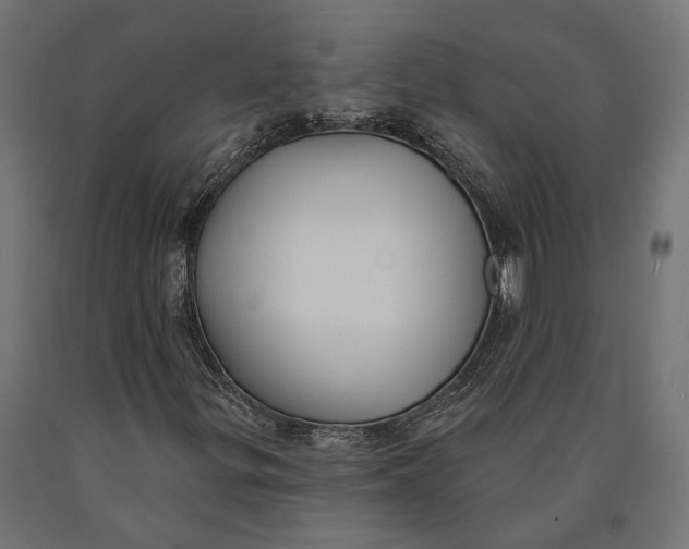 X0000090421299200708031056