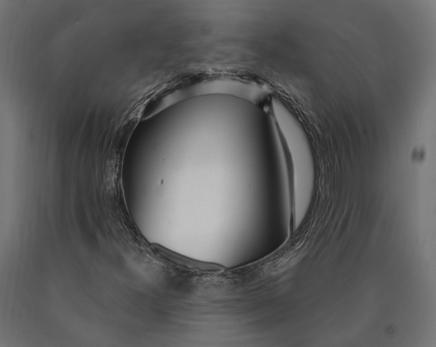 X0000090421300200708031056