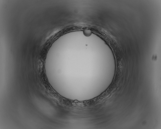 X0000090421302200708031056