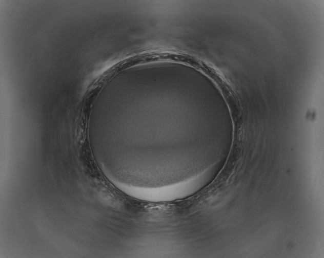 X0000090421303200708031056