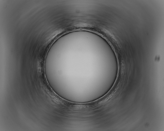 X0000090421305200708031056