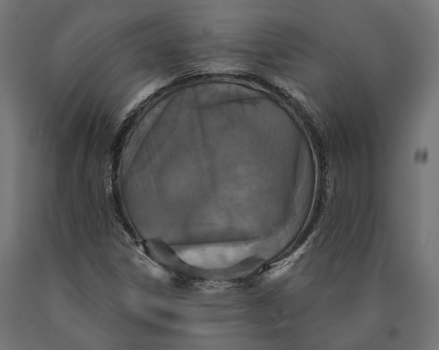 X0000090421306200708031056