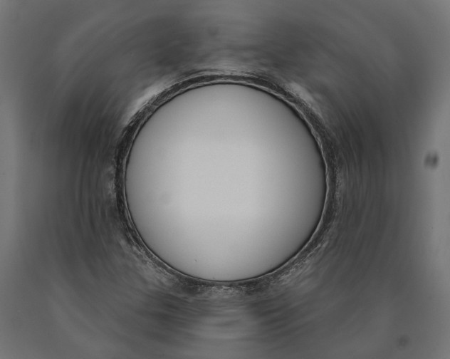 X0000090421307200708031056