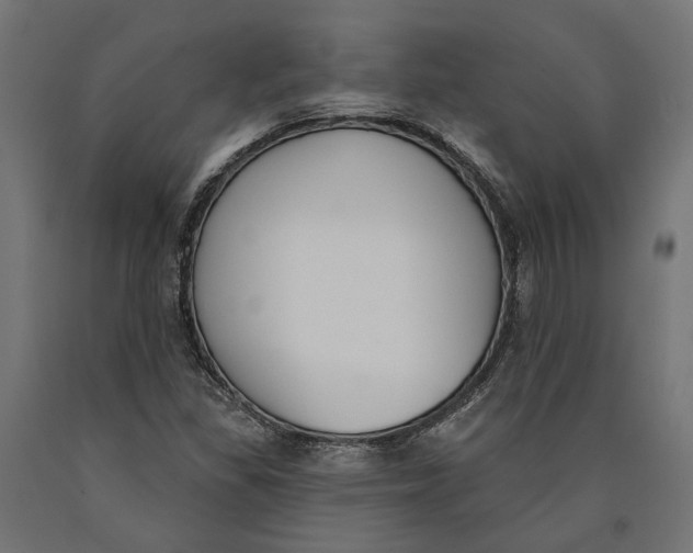 X0000090421309200708031056