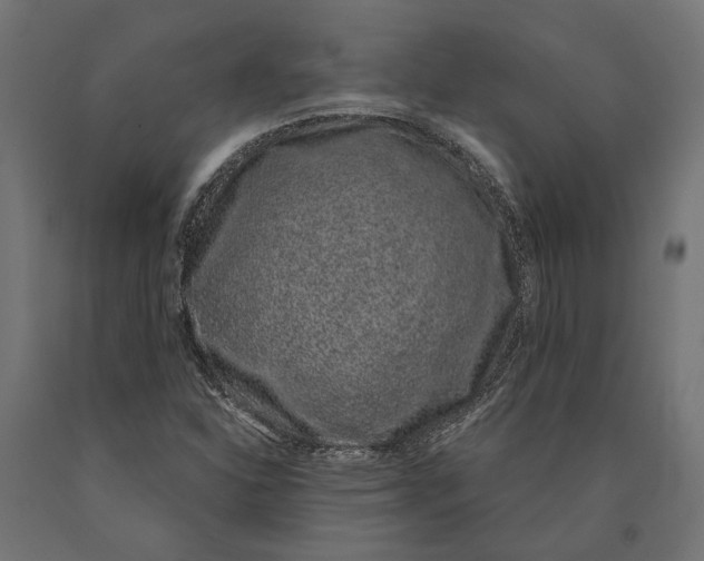 X0000090421310200708031056