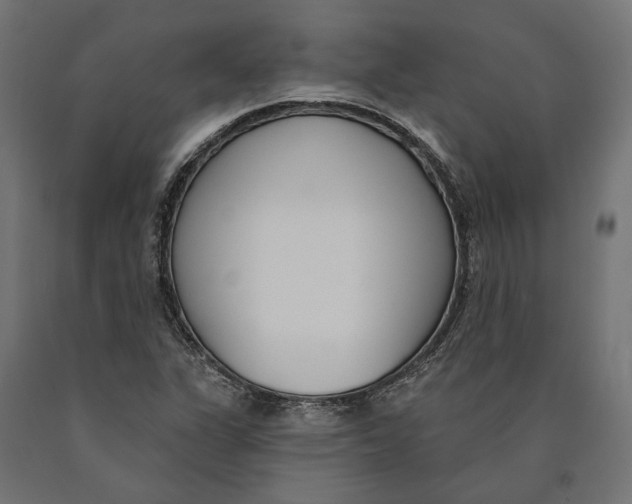 X0000090421311200708031056